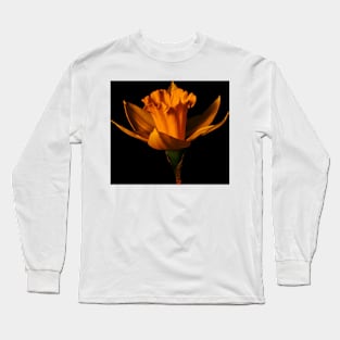 Isolated Dandelion Long Sleeve T-Shirt